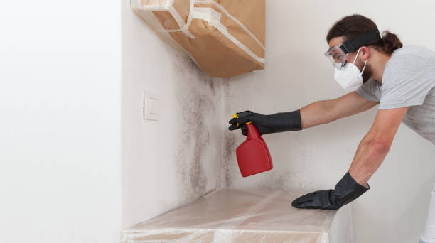Professional Bathroom Mold Removal technician working in Lakeland, TN